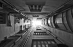 _DSC0211 BW.jpg
